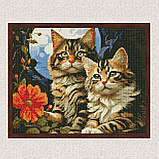 Алмазна мозаїка/вишивка Чарівні котики 30*40 см Ідейка AMO 7853, фото 3