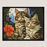 Алмазна мозаїка/вишивка Чарівні котики 30*40 см Ідейка AMO 7853, фото 4