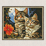 Алмазна мозаїка/вишивка Чарівні котики 30*40 см Ідейка AMO 7853, фото 5