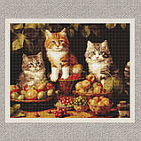 Алмазна мозаїка/вишивка Котики і фрукти 40*50 см Ідейка AMO 7940, фото 2