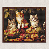 Алмазна мозаїка/вишивка Котики і фрукти 40*50 см Ідейка AMO 7940, фото 3