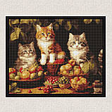 Алмазна мозаїка/вишивка Котики і фрукти 40*50 см Ідейка AMO 7940, фото 4