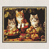 Алмазна мозаїка/вишивка Котики і фрукти 40*50 см Ідейка AMO 7940, фото 5