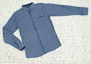 Опт Сорочка класична для хлопців, довгий рукав, р. 11-16 років, синя клетка