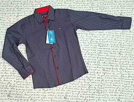 Опт Сорочка класична для хлопців, довгий рукав, р. 7-12 років, синя цяточка