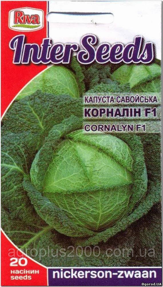 Насіння Капуста савойська Корналін F1, 20 насіння Nickerson Zwaan