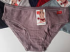 Трусики Бавовняні В Рубчик Мікс 12шт (6924), фото 2
