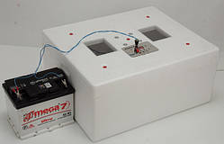 Інкубатор Несушка М на 76 яєць 220/12 В автоматичний, з вентилятором