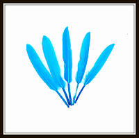Перья натуральные голубые (10 штук)