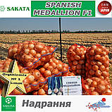 Цибуля СПЕНІШ МЕДАЛЬЙОН F1 / SPANISH MEDALLION F1, ТМ SAKATA (Японія), фото 3