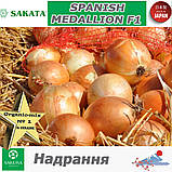 Цибуля СПЕНІШ МЕДАЛЬЙОН F1 / SPANISH MEDALLION F1, ТМ SAKATA (Японія), фото 4