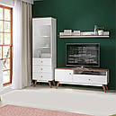 Полиця навісна у вітальню з ДСП POL135 Тата Gerbor Нiмфеа альба/Горіх верона, фото 4