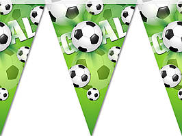 Флажки гірлянди " Футбол"