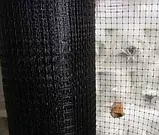 Сітка для птахів (на метраж). Висота 200 см. Для огорожі свійської птиці., фото 2