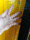 Сітка для птахів (на метраж). Висота 200 см. Для огорожі свійської птиці., фото 5