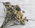 Сухоцвіт деревій мікс. 15-17 гілочок, фото 3