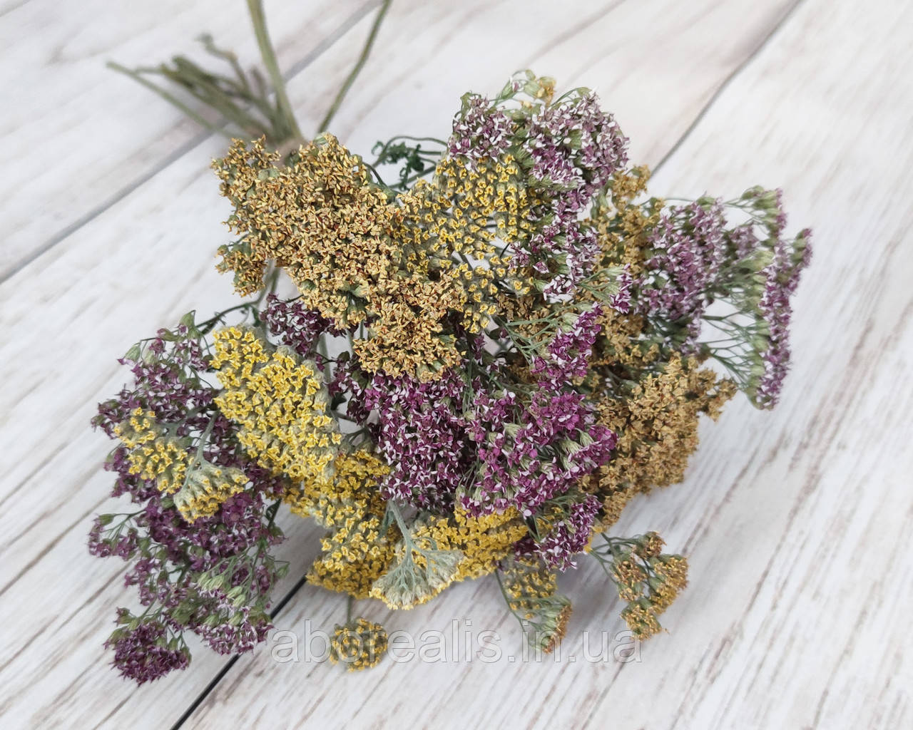Сухоцвіт деревій мікс. 15-17 гілочок, фото 1