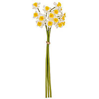 Штучний букет нарцисів "Навчання", 15 шт., колір білий, 50 см.
