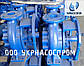 Насос КМ150-125-250, фото 2
