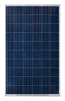 Сонячна батарея (панель) 260 Вт, полікристалічна RSM60-6-260P/4BB, Risen