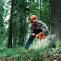 Потужна бензинова ланцюгова пила Husqvarna 365 : Об'єм циліндра 65,1 cm³, потужність 3.4 кВт, шина 45 см, оригінал Швеція, фото 9