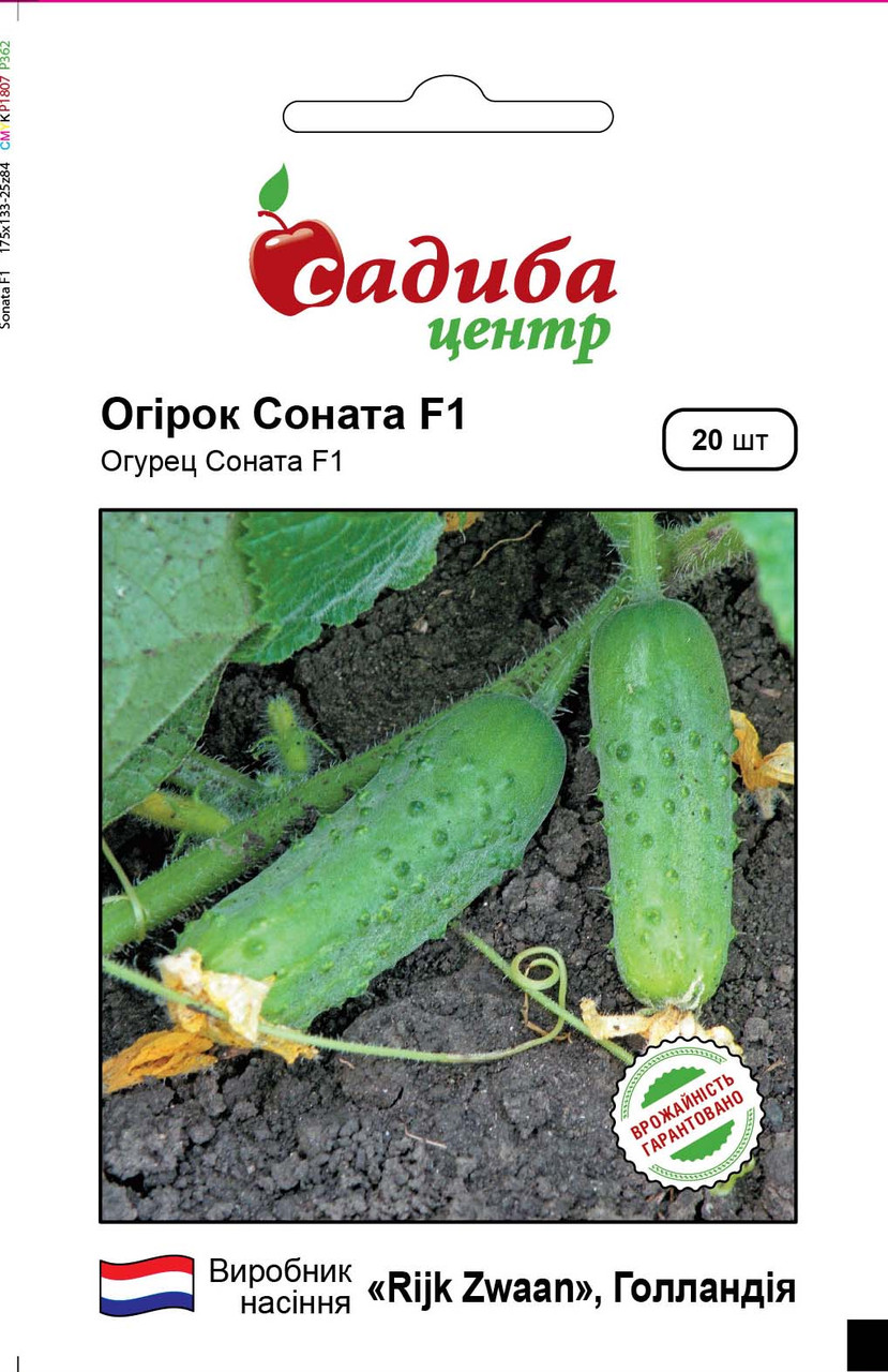 Насіння Огірок Соната F1 (20 насінин), ТМ Садиба Центр, фото 1