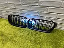 Решітка радіатора подвiйнi BMW (БМВ) 3 series F30, F31, F35 (2012-2016) Ноздрі рестайлінг решітки ф30 подвiйнi, фото 2