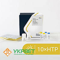 Набір BACGene для ПЛР у реальному часі для виявлення Salmonella spp. 10xHTP