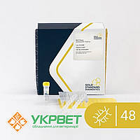 Набір BACGene для ПЛР у реальному часі для виявлення Salmonella Tranoroa