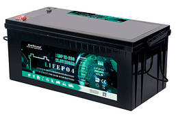 Акумулятор lifepo4 Everexceed ldp12-200 12,8v 200ah