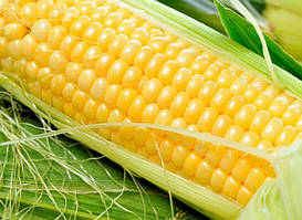 Насіння цукрової кукурудзи "Спирит" Ф1 мішок 100 тис.