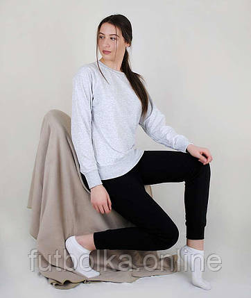Сіро-Ліловий жіночий спортивний костюм для тренувань Lightweight raglan sweat lady-fit Fruit of the loom, фото 2