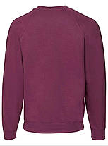 Бордовий реглан чоловічий зимовий Classic raglan sweat Fruit of the loom, фото 4