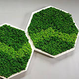 Соти із моху