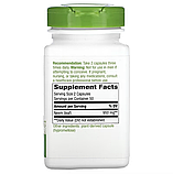 Nature's Way, листя німу, 950 мг, 100 веганських капсул (475 мг у капсулі), фото 2