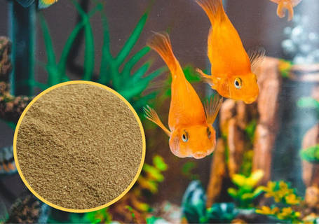 Корм ТМ Золота Рибка, Старт, мікрогранули 100 ml. Корм для щоденного правильного годування малька, фото 2