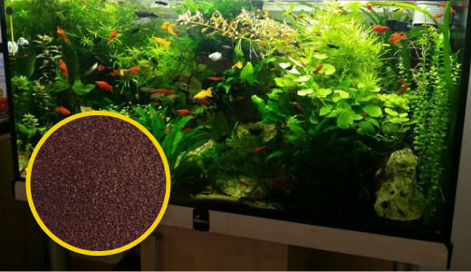 Корм ТМ Золота Рибка, Професіонал, гранули "2" 2.2L. Акваріумний корм високої якості