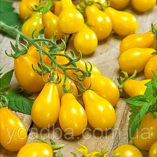 Насіння Томату Банан жовтий (0.1г), фото 1