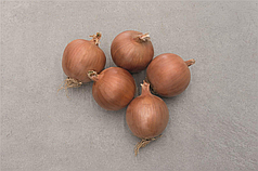 Насіння ріпчастої цибулі Орленда F1 (Orlenda F1) Bejo 250000