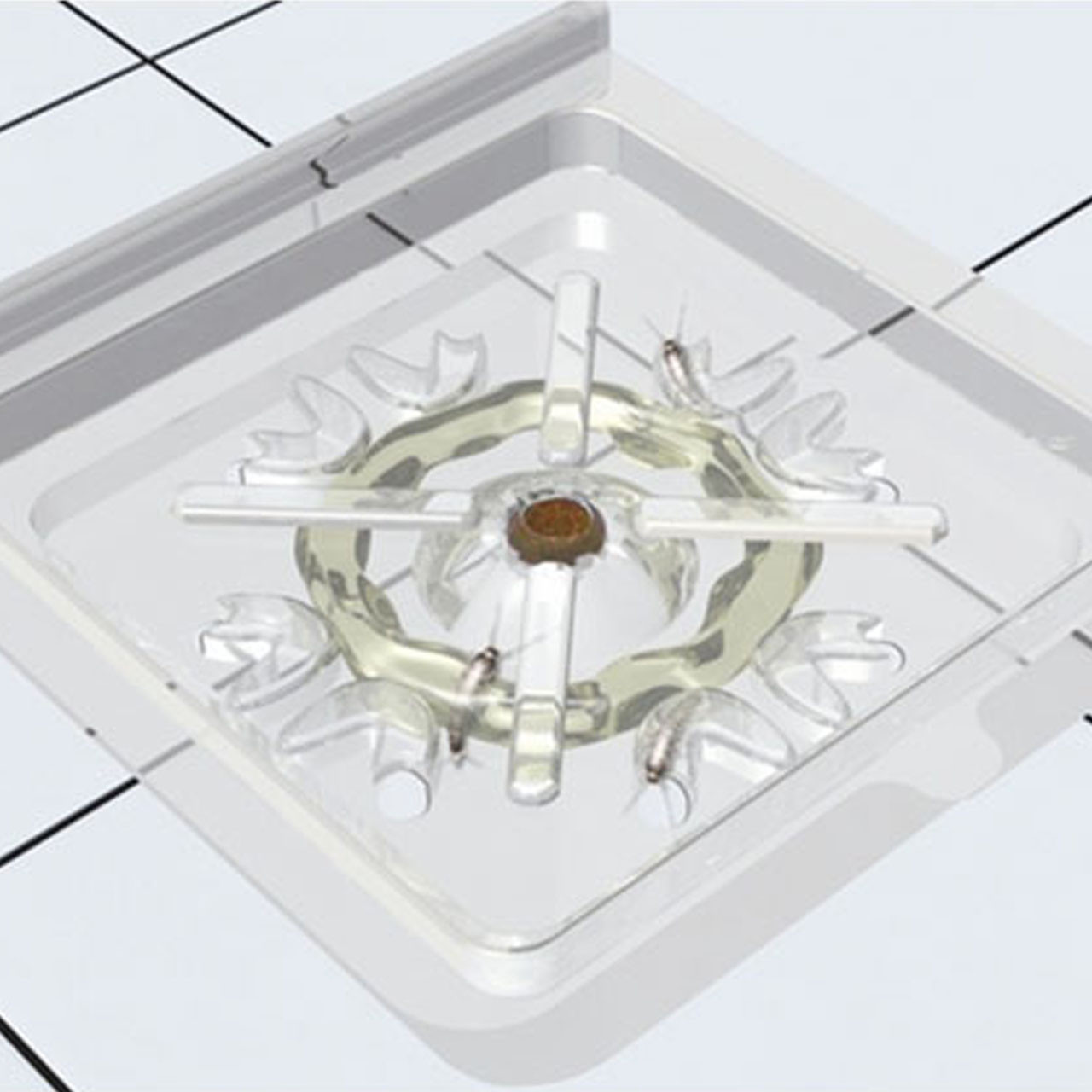 Пастка для чешуйниць з приманкою (2 шт.)