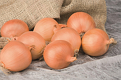 Насіння цибулі Алонсо F1 (Alonso F1) Bejo 250000