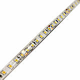 LED-стрічка 12 Вт 24 В SMD2835 120 діодів, теплий білий 2800К, серія Externum IP65, гарантія 3 роки SL-1, фото 5