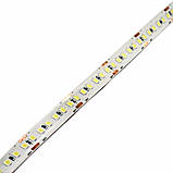 LED-стрічка 14Вт 24В SMD2835 180 діодів, холодний білий 6500К, серія Externum IP65, гарантія 3 роки SL-1, фото 5