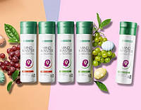 Набір з 5 пляшок Mind Master (Green або Red на вибір) повноцінний курс для мозку, енергії, пам яті та антистресу