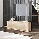 Тумба під телевізор у вітальню, сучасна з полицями, без ручок R-31, фото 6