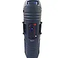 Колонка музична портативна портативна Bluetooth DG-1062, фото 4