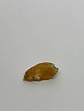 Бурштин необроблений камінь натуральний бурштин 21*10*6 мм, фото 6