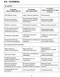 Розгорнутий календарний план. Середня група. Літо. Серія «Сучасна дошкільна освіта» Ванжа С., фото 5