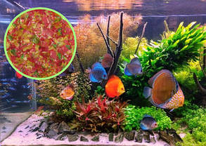 Корм ТМ Золота Рибка, Гурман, пластівці 500 ml. Високоякісний корм для дискусів та інших риб, фото 2