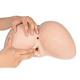 Мастурбатор-попка з двома входами SilexD Daphne Ass Masturbator, суперреалістичний, термореактивний kitty.in.ua, фото 3